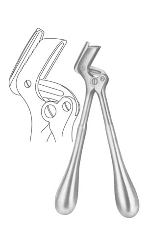 Plaster Shears
